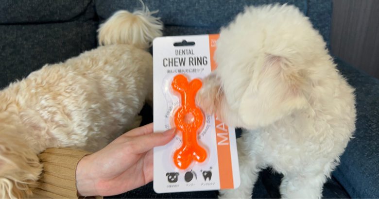 オレンジ色の犬用おもちゃ