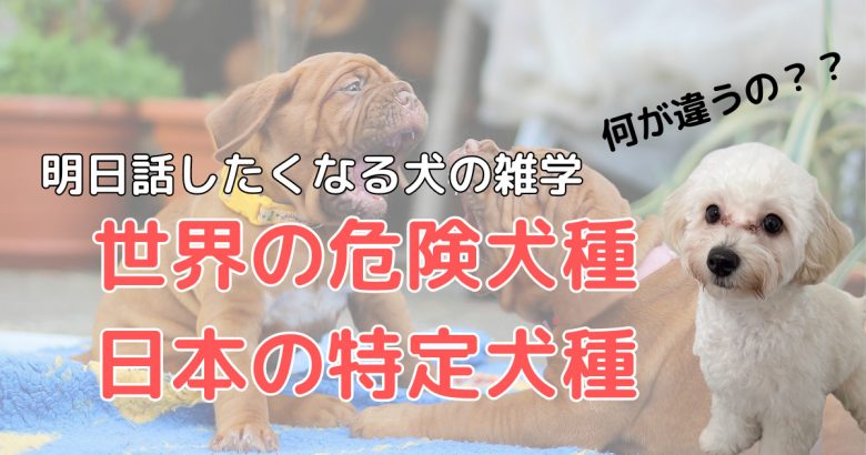 世界の危険犬種と日本の特定犬種